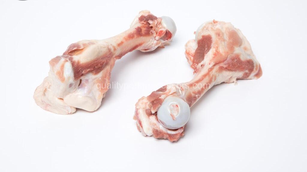 Pork Femur bone